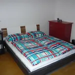 Flora Apartment Sudomerska