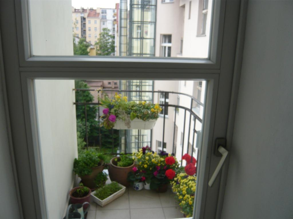 Flora Sudomerska Appartamento Praga
